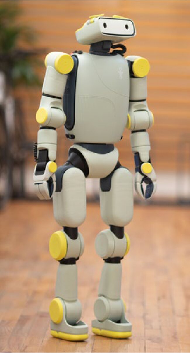 Fauna Robotics Sprout humanoid robot standing indoors